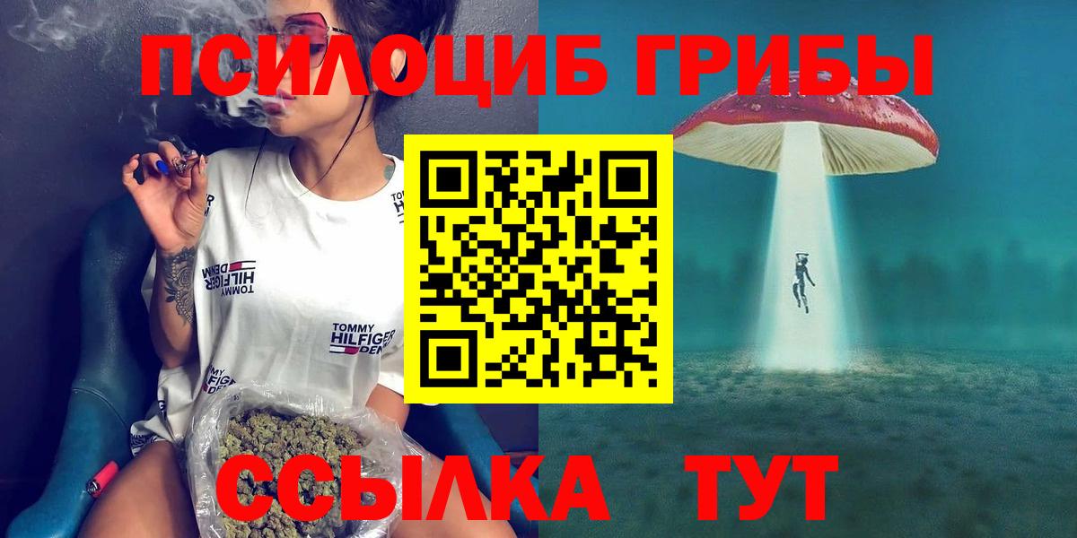 купить наркотик  Вход с VPN  Тула  Псилоцибиновые грибы MAGIC MUSHROOMS  Псилоцибиновые грибы прущие грибы 